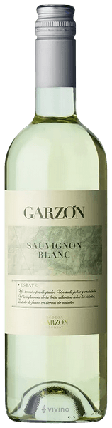 Garzon Sauvignon Blanc 2016